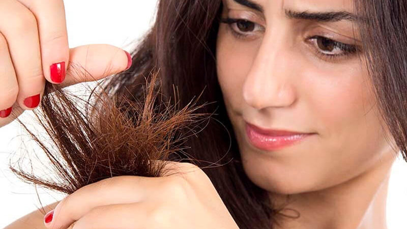 Đuôi tóc bị chẻ ngọn hư tổn cần gấp cách phục hồi tóc nhanh chóng
